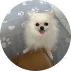 우철최
