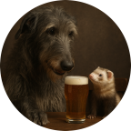 dogandferret